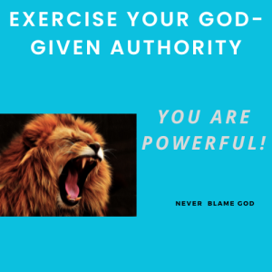 Read more about the article Using Your God-given Authority