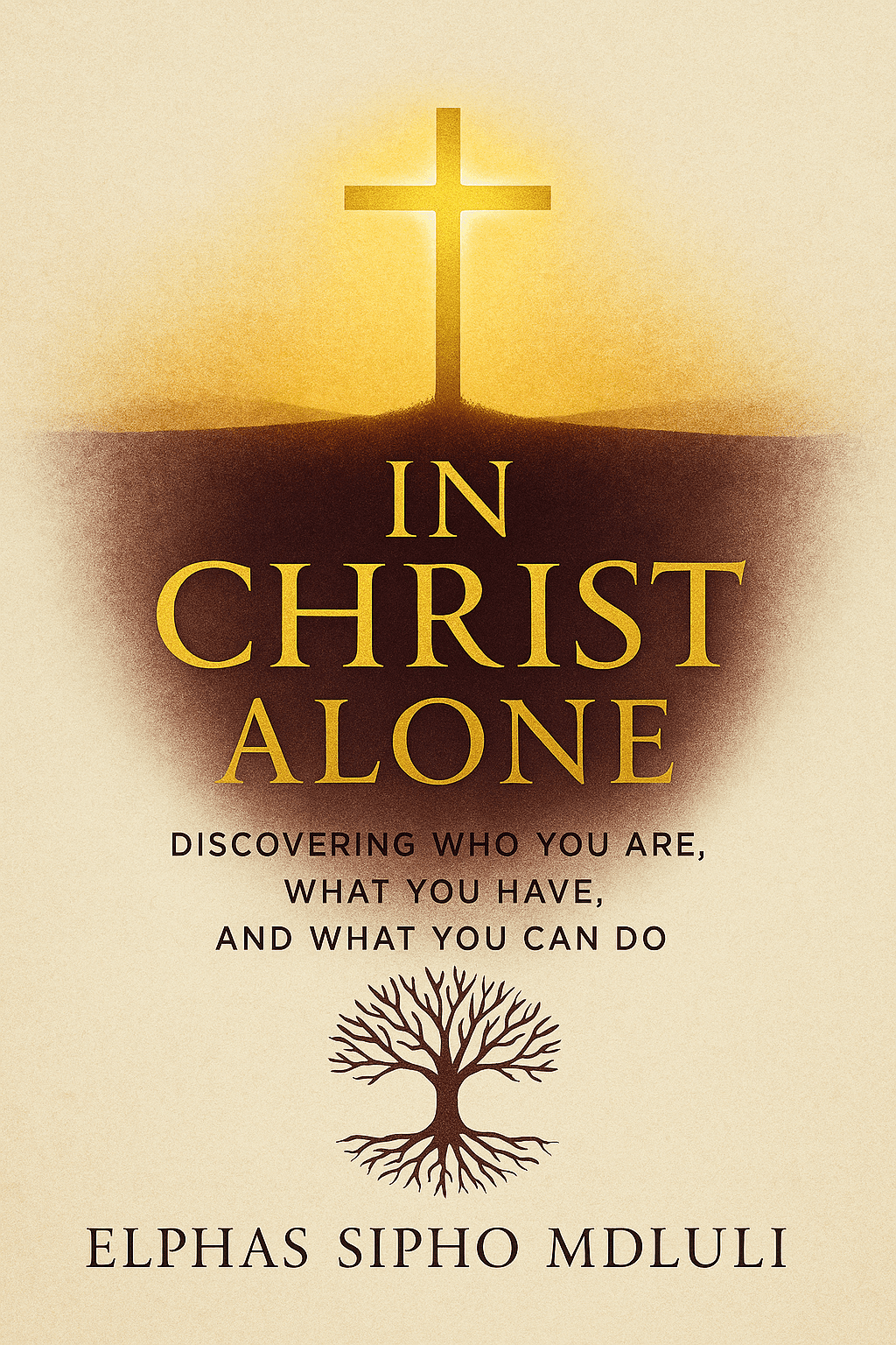 In Christ Alone: Discovering Who You Are, What You Have, and What You Can Do book cover